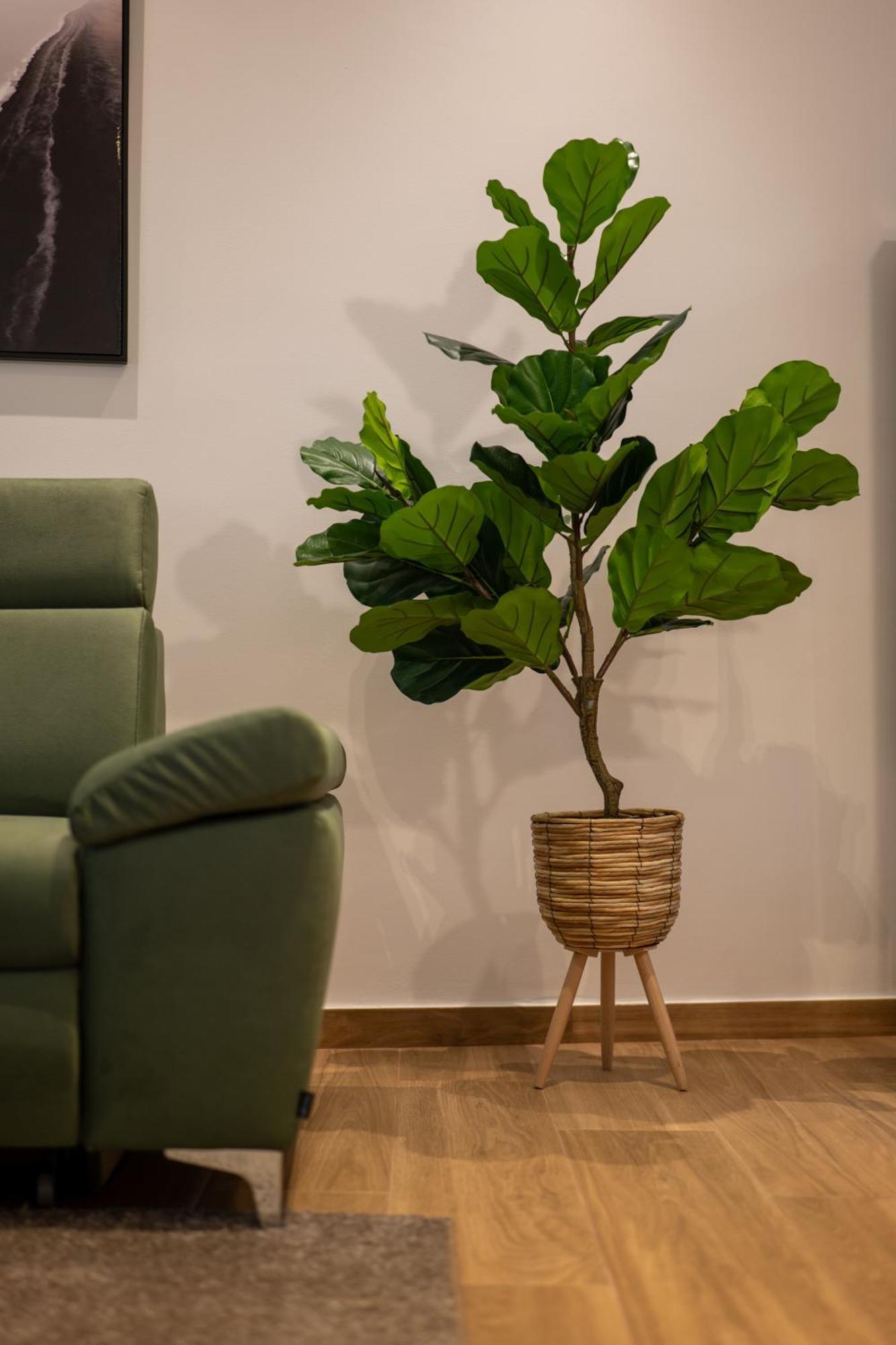 Apartman The Urban Nest By Belmont Realty